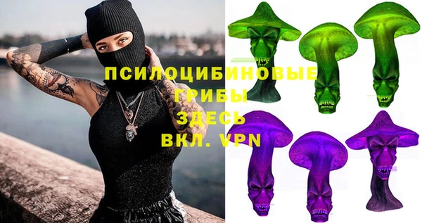 Альфа ПВП Алзамай