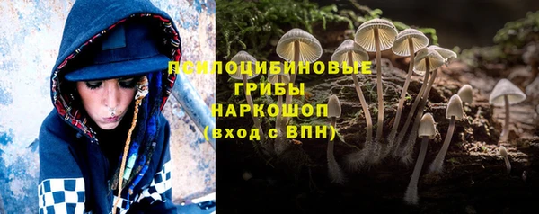 стафф Алексеевка
